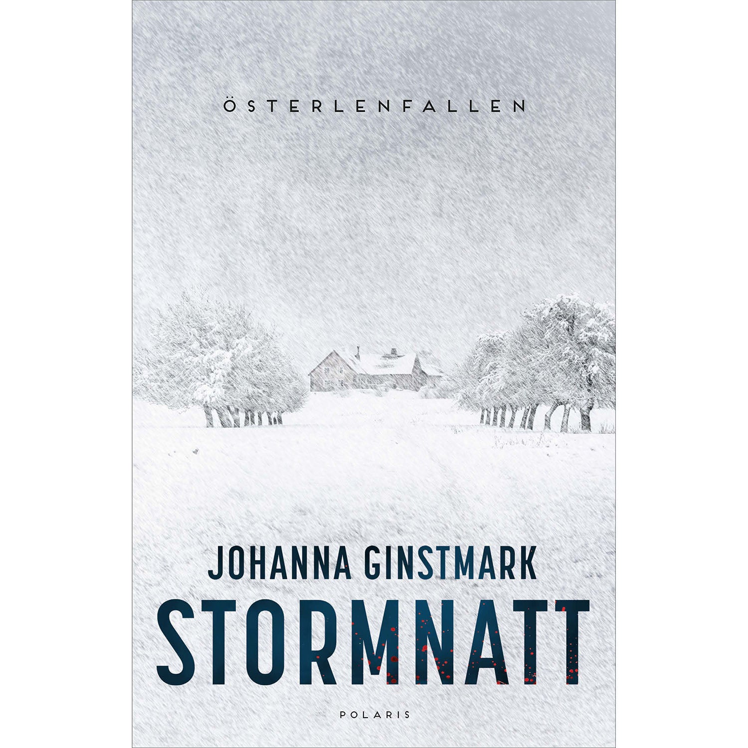 BOKFÖRLAGET POLARIS Stormnatt